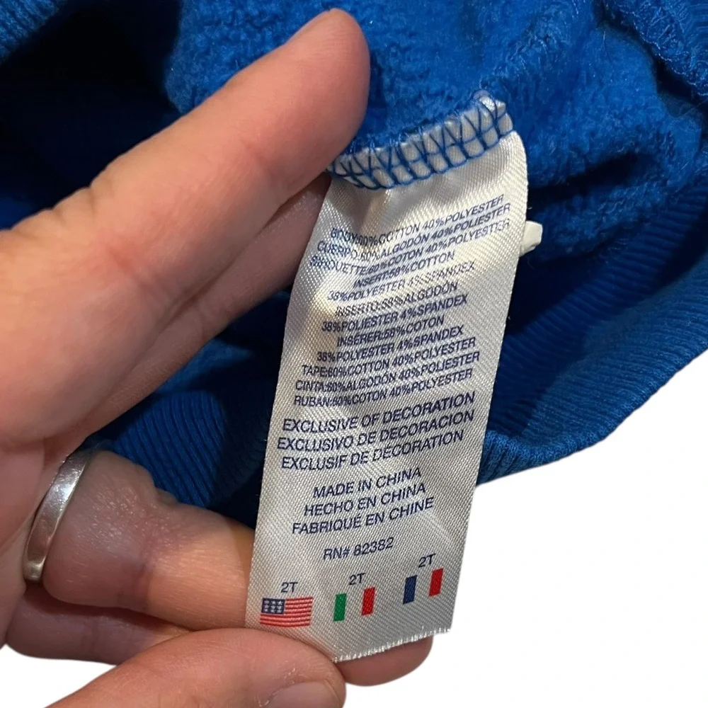 Champion Cerulean Blue Logo Hoodie - Kid's Size 2T Comfy‎ Cozy Warm